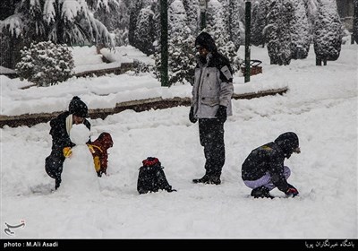 آدم برفی