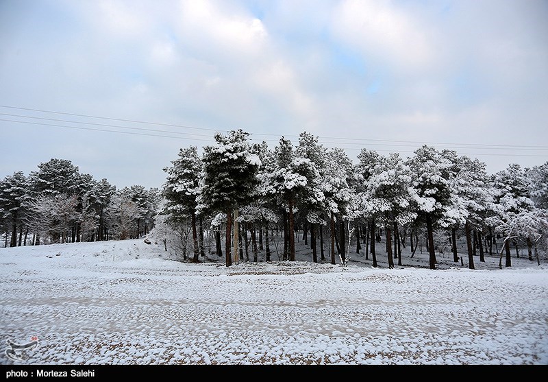 بیشتر راه‌های روستایی در البرز به علت بارش برف بسته است