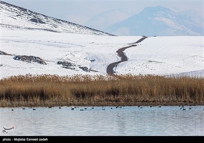 بمناسبة الیوم العالمی للمناطق الرطبة