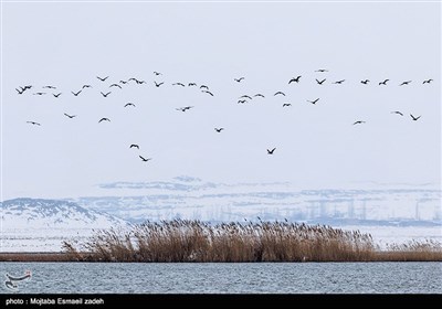 بمناسبة الیوم العالمی للمناطق الرطبة