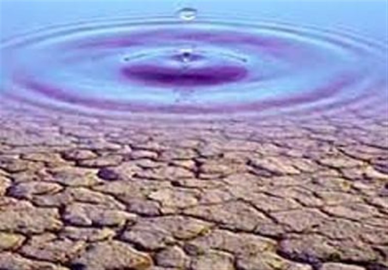 کاریکاتور| «10درصد از آب آشامیدنی تهران در استخرها مصرف می‌شود!