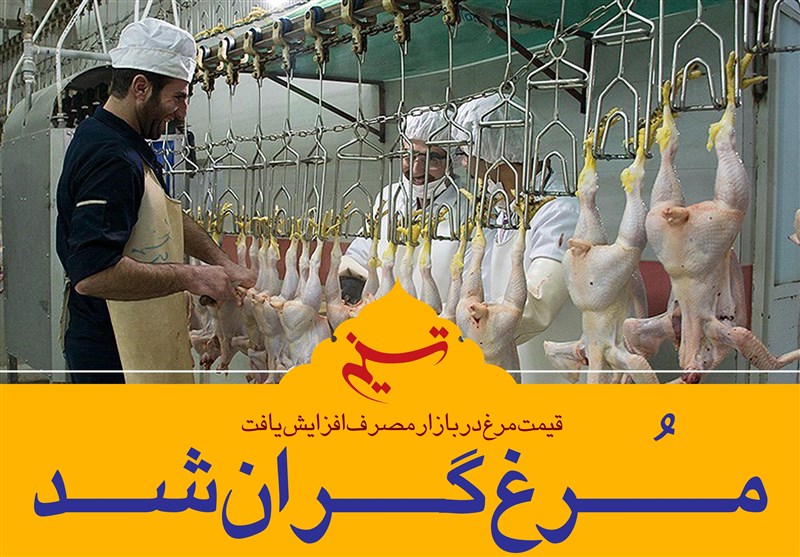 فتوتیتر/ مرغ گران شد