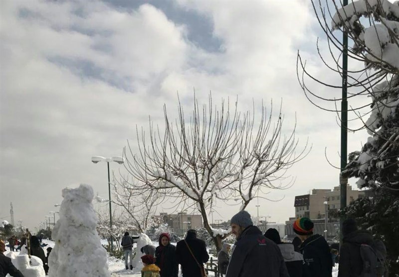 جشنواره مجسمه‌‌های برفی در بوستان پردیسان
