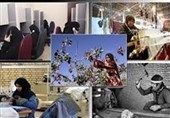 3 صندوق شهرستانی برای حمایت از زنان روستایی در استان فارس تشکیل شد
