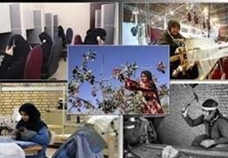 تعاونی زنان روستایی استان بوشهر با هدف ایجاد اشتغال پایدار زنان توسعه می‌یابد