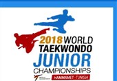 Iran’s Hossein Lotfi Wins Gold at World Taekwondo Junior Championships