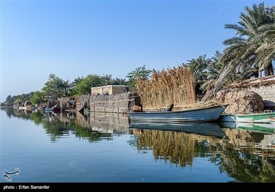 عالمی ویٹ لینڈز ڈے کی مناسبت سے