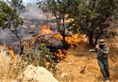خوزستان رتبه نخست آتش‌سوزی مراتع و جنگل‌ها در سال 96