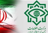 وزارت اطلاعات:‌ 25 نفر از عوامل اخلال در نظام ارزی دستگیر شدند