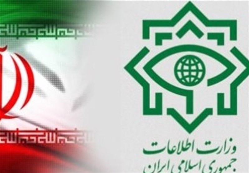 انهدام شبکه مفسدان ارز دولتی توسط وزارت اطلاعات/ 11 نفر بازداشت شدند