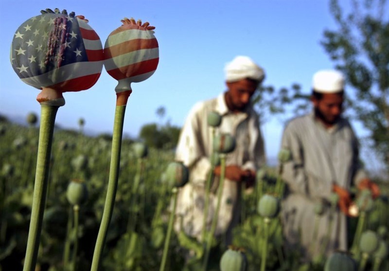 فعالیت سیا و موساد در تجارت مواد مخدر؛ افغانستان باید ناآرام بماند