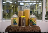 Iran Makes Food Pest Control Machine Using Irradiation