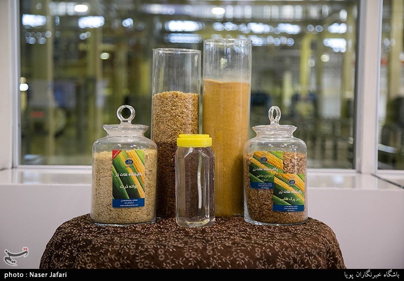 Iran Makes Food Pest Control Machine Using Irradiation