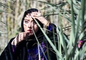 نشست خبری فیلم ماهورا| حمید زرگرنژاد: ماهورا شبیه عقابها نیست