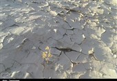 خطر خشکسالی شهرستان فسا را تهدید می‌کند + نمودار