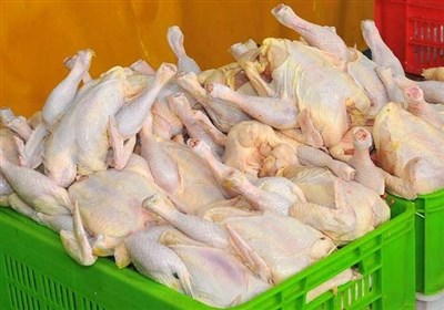 روزانه 50 تن مرغ از کرمانشاه به سایر استان‌ها صادر می‌شود