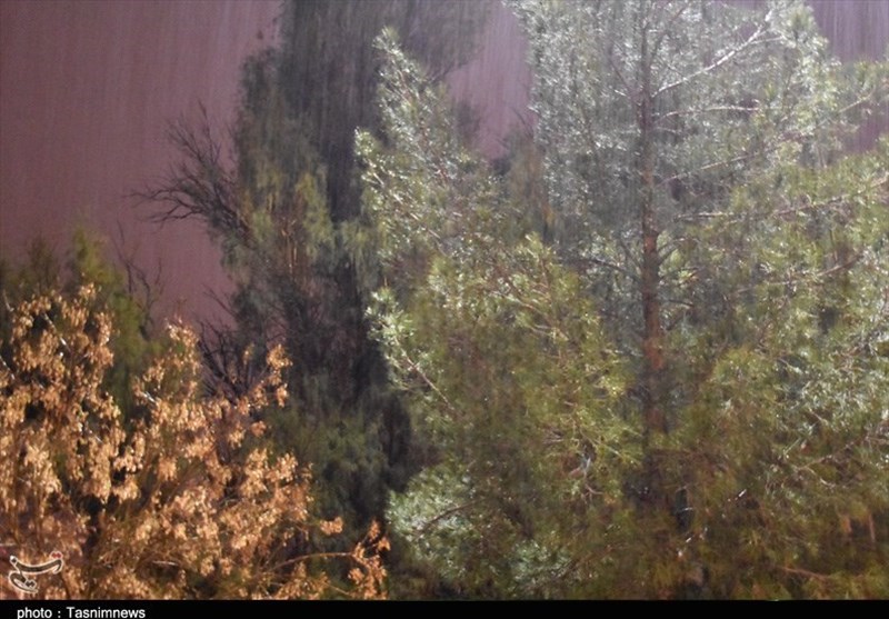 زاهدان| بارش باران بهاری در خاش؛ طوفان 90 کیلومتری در زابل