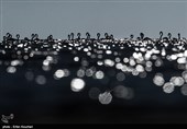 Flamingos Migrate to Miankaleh Lagoon in Iran