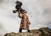 عکس روز نشنال جئوگرافیک/عقاب شکارچی قزاق
