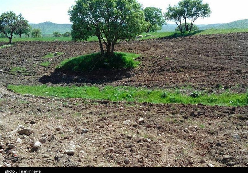 لرستان| حراج خاک؛ اراضی ملی در تصرف زمین‌خواران