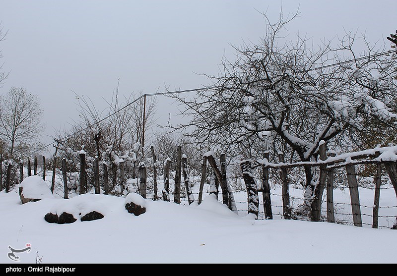 ارومیه| شروع مجدد بارش برف و باران در آذربایجان غربی