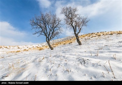 طبیعت زمستانی ارومیه