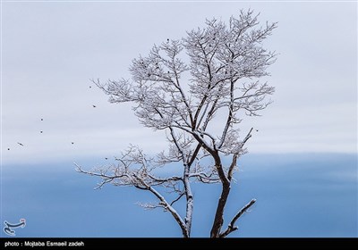 طبیعت زمستانی ارومیه