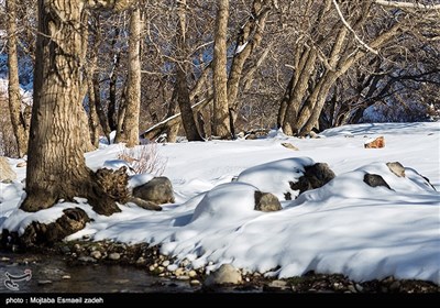 طبیعت زمستانی ارومیه