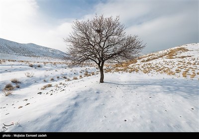 طبیعت زمستانی ارومیه