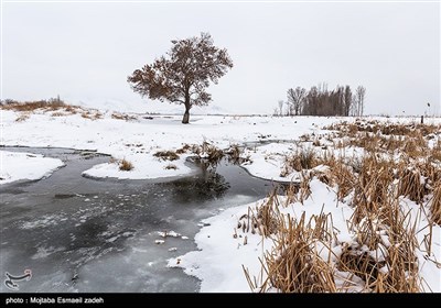 طبیعت زمستانی ارومیه