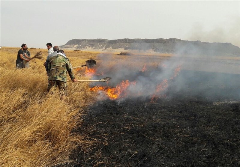 مازندران|‌ 7000 متر از اراضی جنگلی غرب مازندران در آتش سوخت