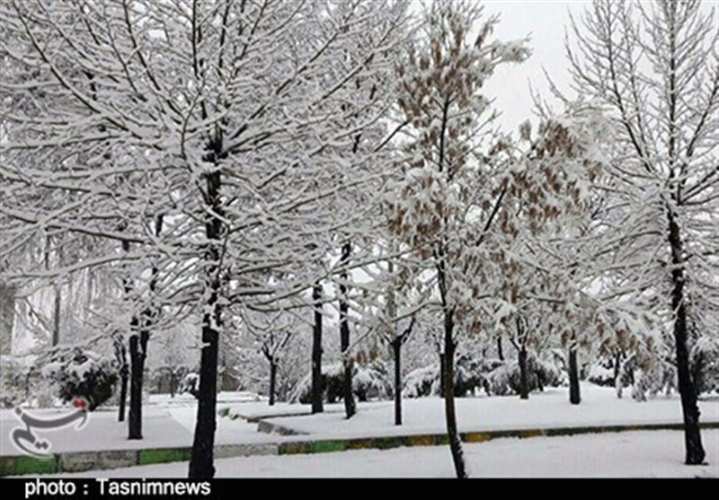 ارومیه| مدارس بعد از ظهر 3 شهر آذربایجان غربی تعطیل شد