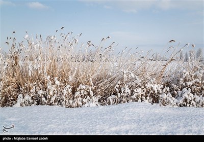 ایران کے شہر ارومیہ میں موسم سرما