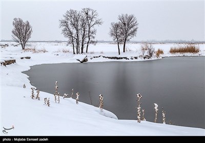 ایران کے شہر ارومیہ میں موسم سرما