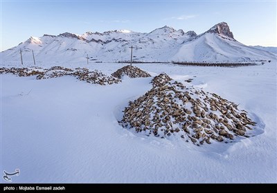 ایران کے شہر ارومیہ میں موسم سرما