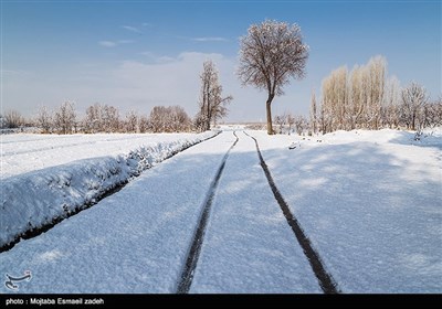 ایران کے شہر ارومیہ میں موسم سرما