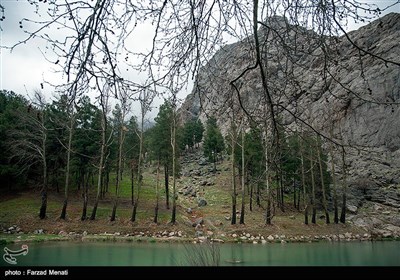 بارش باران در طاق بستان