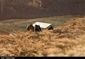 Iran Mounts Search after Plane Crash