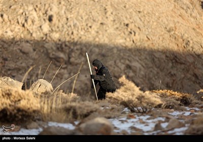 دومین روز جستجوی محل هواپیمای ای تی آر