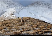 Iran Mounts Search after Plane Crash