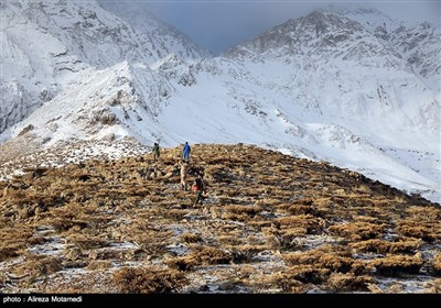 Iran Mounts Search after Plane Crash