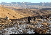 Iran Mounts Search after Plane Crash