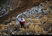 Iran Mounts Search after Plane Crash