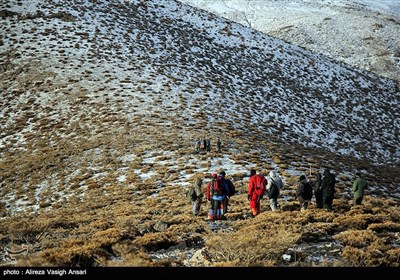 Iran Mounts Search after Plane Crash