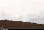 اصفهان| نخستین گروه از پیکرهای جانباختگان به پایین کوه منتقل شد