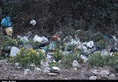 یاسوج| 4 سایت دفن زباله در کهگیلویه و بویراحمد احداث شود