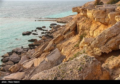 سنگ های مرجانی جزیره خارگ