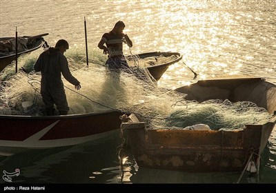 مرتب کردن تور های سید ماهی در اسکله ماهیگیری جزیره خارگ