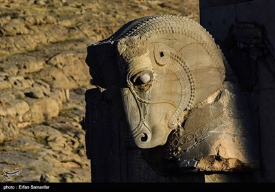 Iran's Beauties in Photos: Persepolis