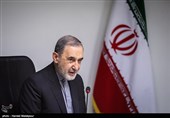 80 Countries Involved in Syria War: Iran’s Velayati